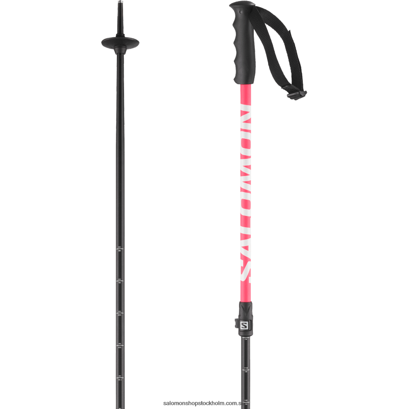 Salomon rosa junior - alpina barnstavar - mtn jr T82RP1385