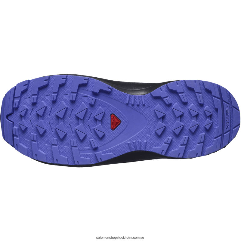 Salomon astral aura/svart/lila ljung junior - barnskor - xa pro v8 clima vattentät T82RP1359