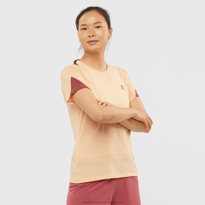 Salomon aprikosis/ljung/cabernet kortärmad dam t-shirt - cross run T82RP891