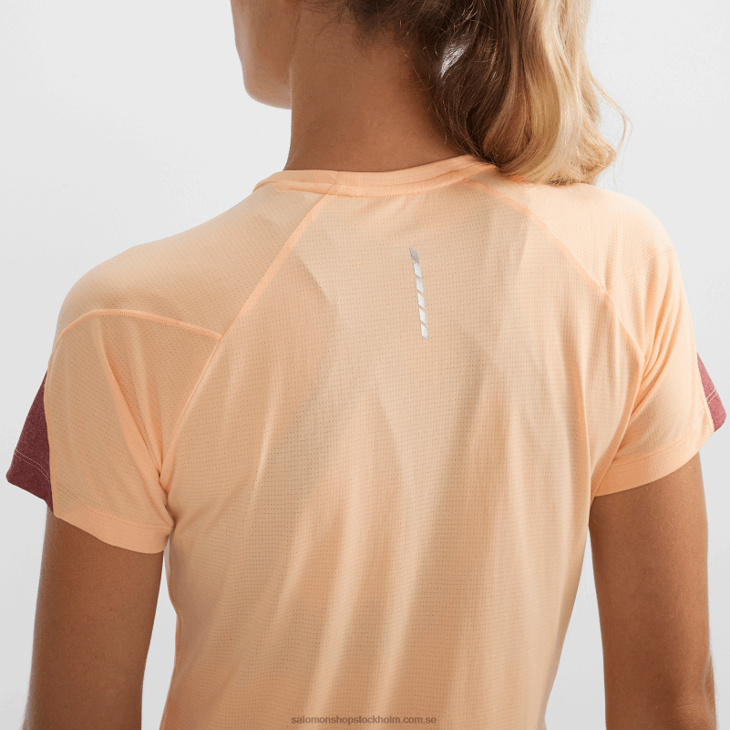 Salomon aprikosis/ljung/cabernet kortärmad dam t-shirt - cross run T82RP891