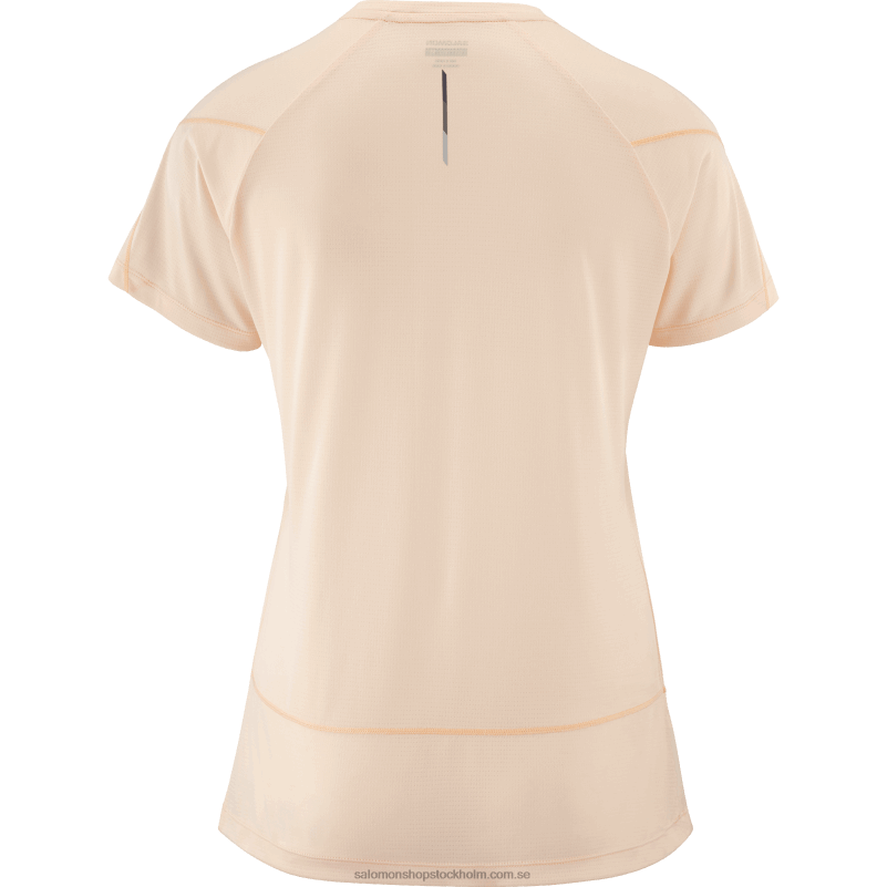 Salomon krämbrun/ljung kortärmad dam t-shirt - cross run T82RP878