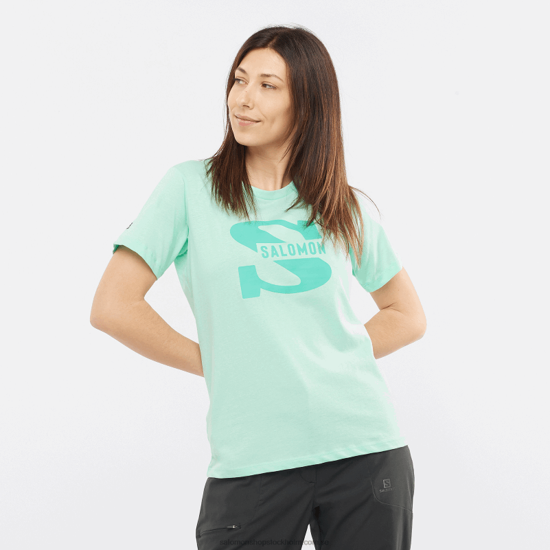 Salomon strand glas kortärmad t-shirt för kvinnor - outlife stor logotyp T82RP902