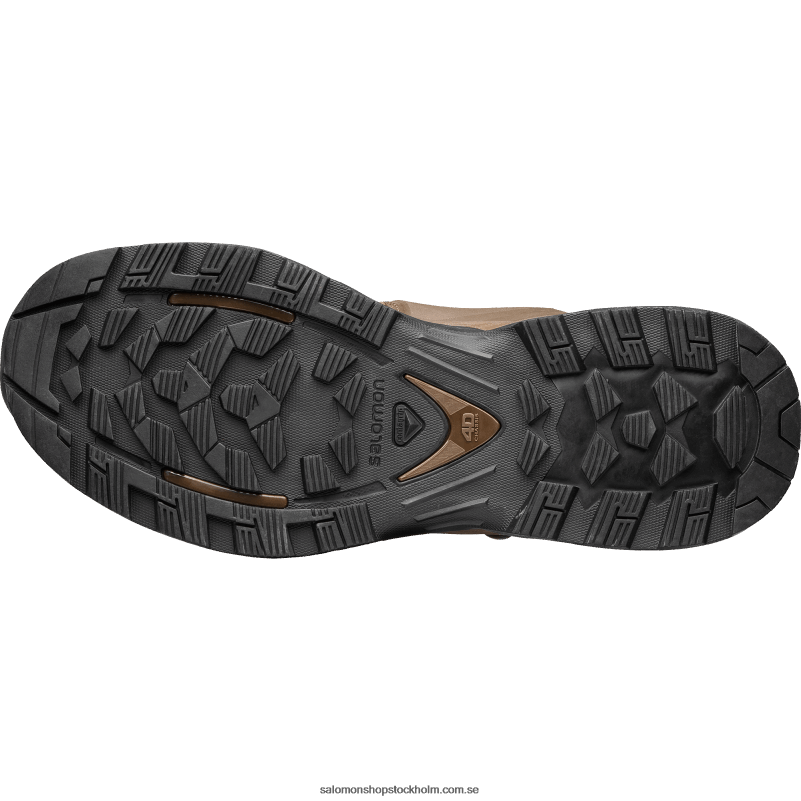 Salomon jordbrun kvinnors styrkor skor - quest 4d gore-tex forces 2 sv T82RP805