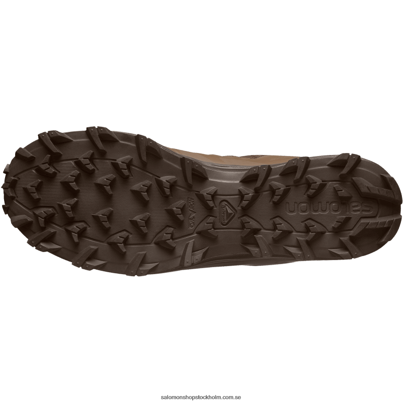 Salomon jordbrun kvinnors styrkor skor - speed assault 2 T82RP800