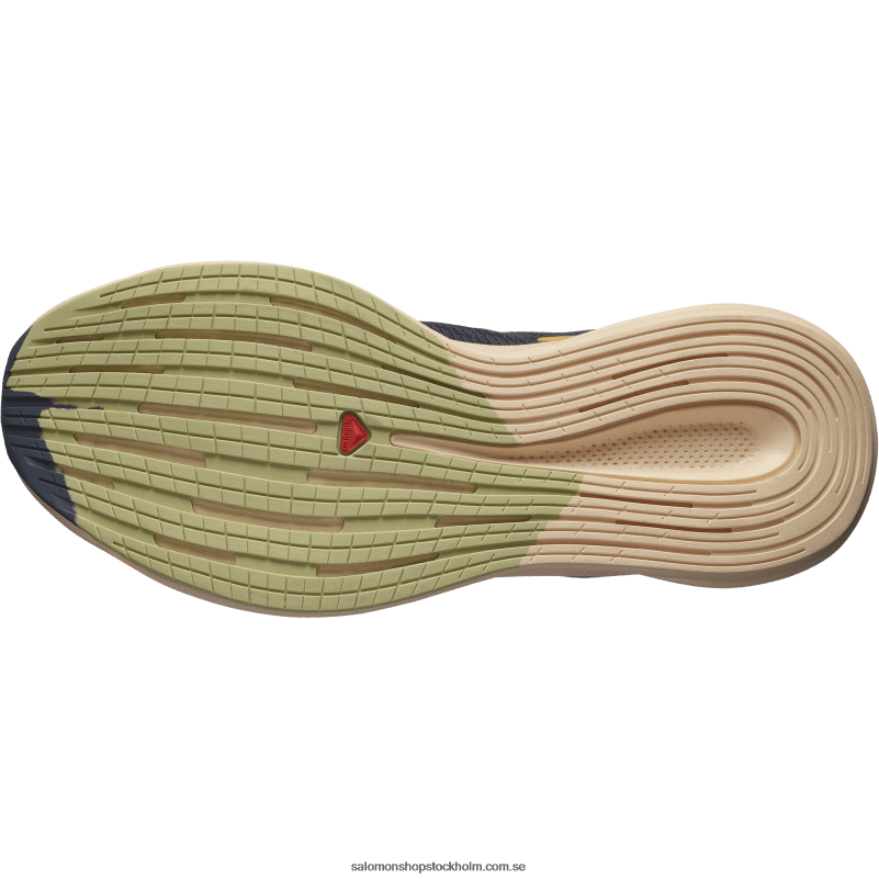 Salomon ebenholts/mandelkräm/purjolök grön löparskor för kvinnor - spectur T82RP749