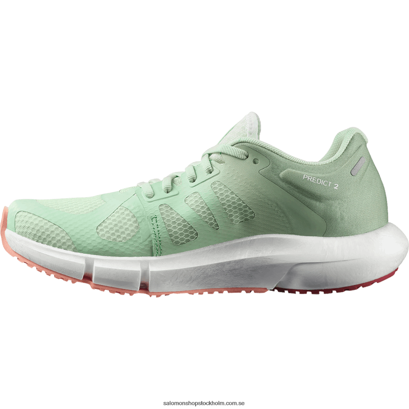 Salomon spray/granitgrön/blommande dahlia löparskor för kvinnor - förutse 2 T82RP755
