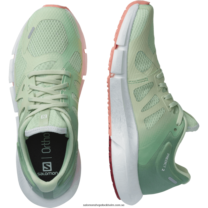 Salomon spray/granitgrön/blommande dahlia löparskor för kvinnor - förutse 2 T82RP755