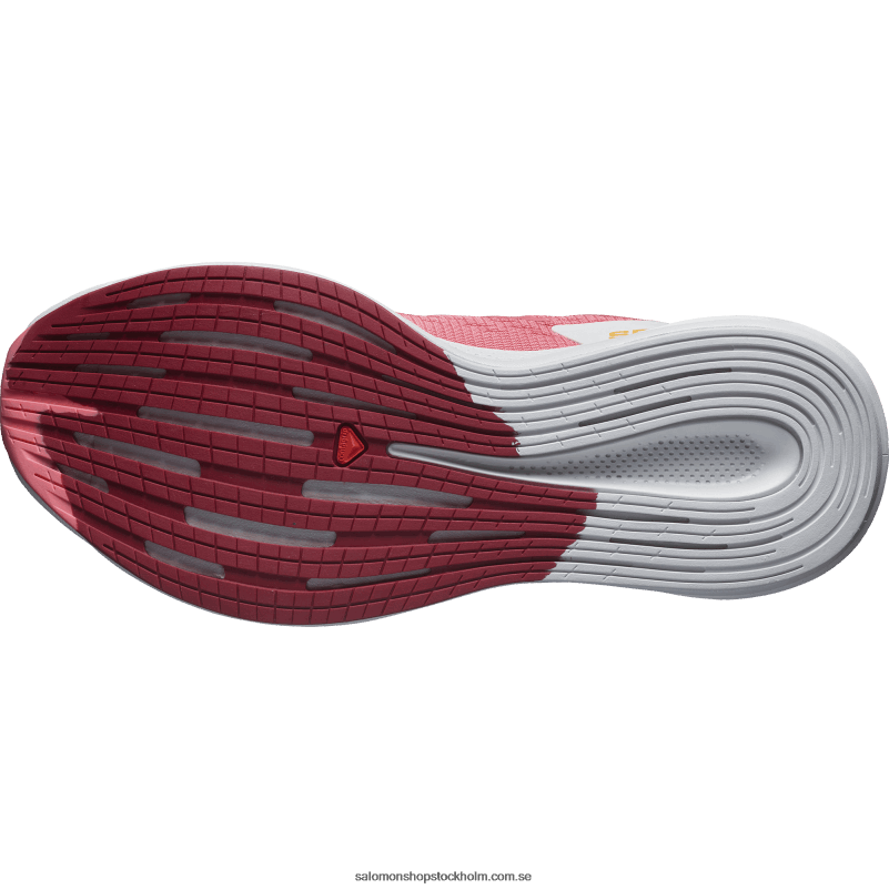 Salomon terosa/månsten/vallmoröd löparskor för kvinnor - spectur T82RP746