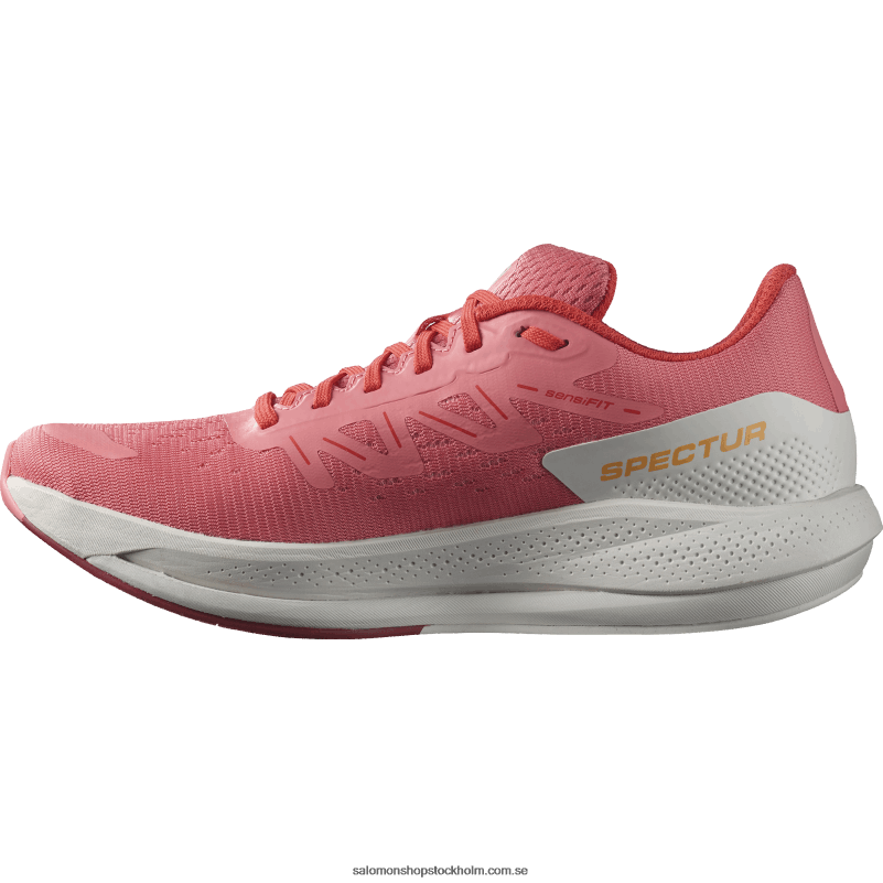 Salomon terosa/månsten/vallmoröd löparskor för kvinnor - spectur T82RP746