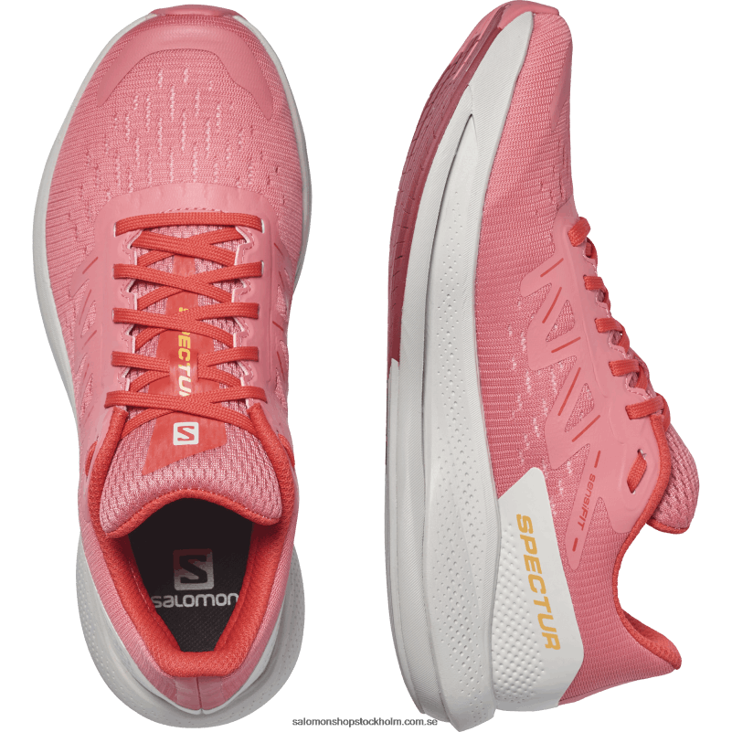 Salomon terosa/månsten/vallmoröd löparskor för kvinnor - spectur T82RP746