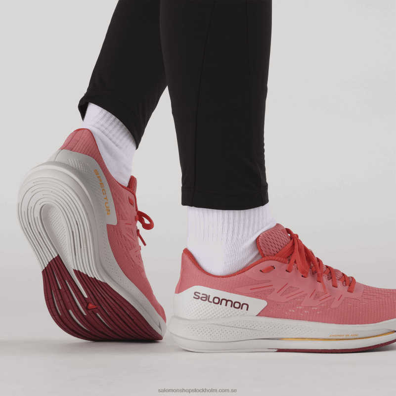 Salomon terosa/månsten/vallmoröd löparskor för kvinnor - spectur T82RP746