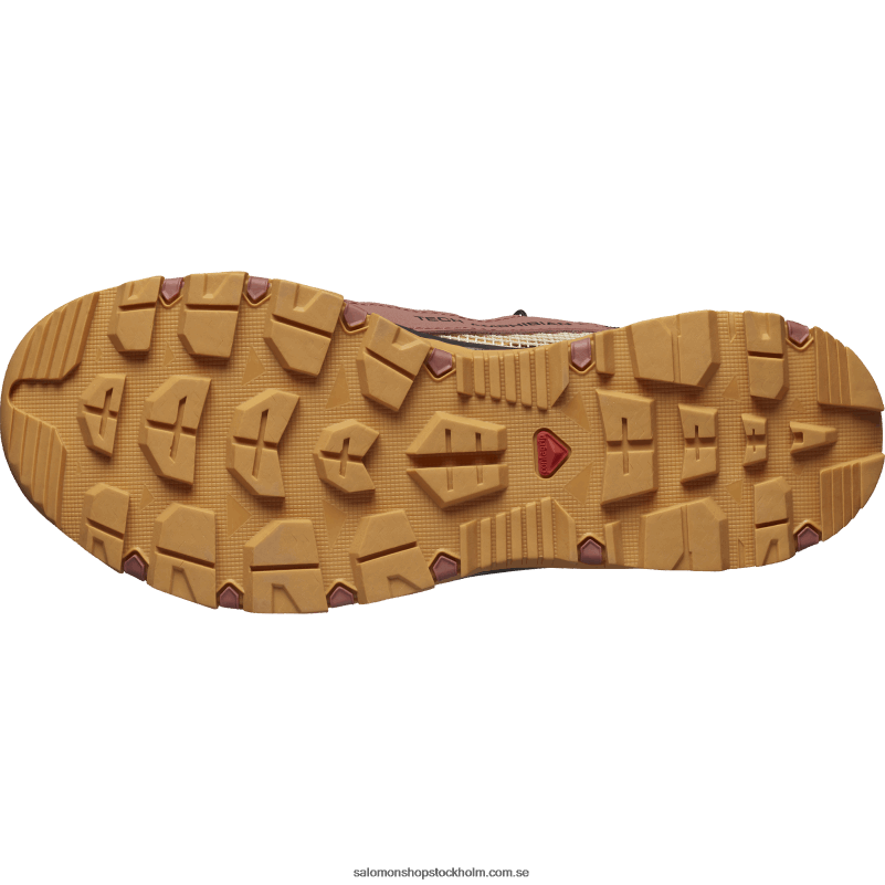 Salomon cederträ/bockskinn/rosa moln vattenskor för kvinnor - techamphibian 5 T82RP789