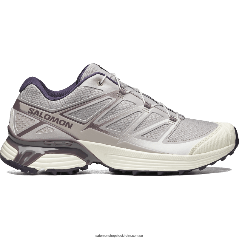 Salomon aska av rosor/månlandskap/vaniljis sportskor för kvinnor - xt-pathway T82RP763
