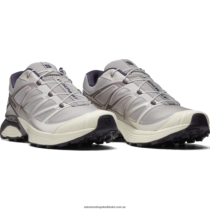 Salomon aska av rosor/månlandskap/vaniljis sportskor för kvinnor - xt-pathway T82RP763