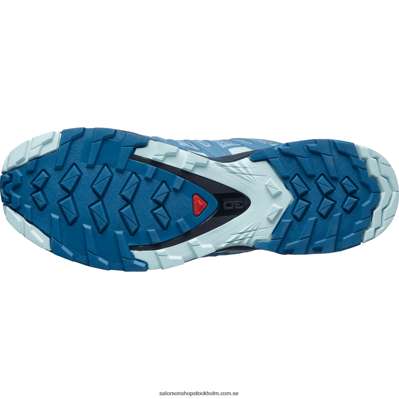 Salomon ashleyblå/ebenholts/opalblå traillöparskor för kvinnor - xa pro 3d v8 T82RP1535