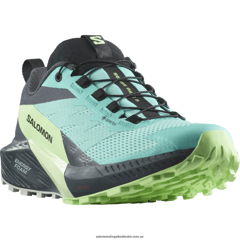 Salomon blå strålglans/grön ask/india bläck damlöparskor - sense ride 5 gore-tex T82RP1528