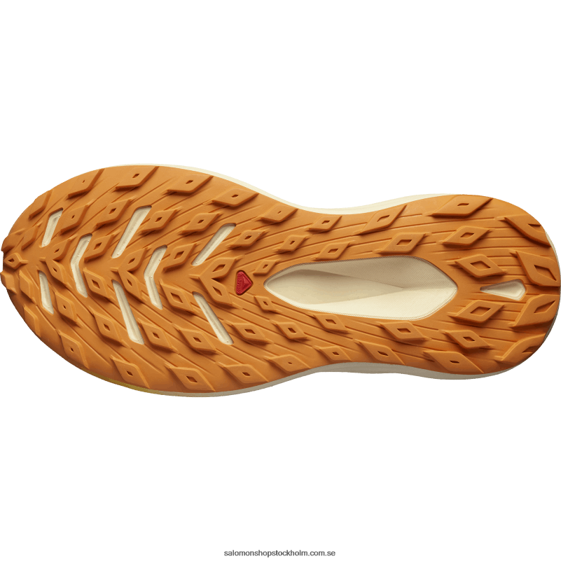 Salomon blekt sand/mör persika/apelsinpeppar trail löparskor dam - glide max tr T82RP1499