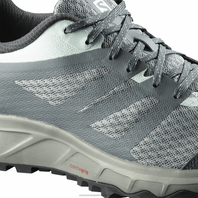 Salomon bly/stormigt väder/isig morgon traillöparskor för dam - trailster 2 T82RP1547