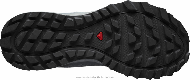 Salomon bly/stormigt väder/isig morgon traillöparskor för dam - trailster 2 T82RP1547