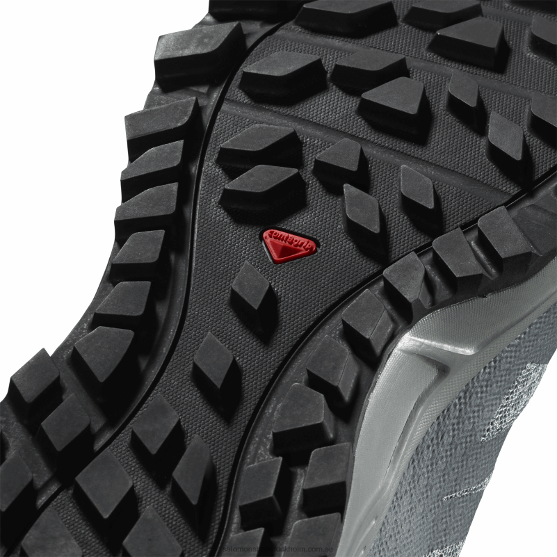 Salomon bly/stormigt väder/isig morgon traillöparskor för dam - trailster 2 T82RP1547