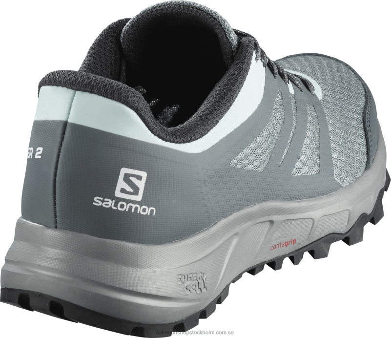 Salomon bly/stormigt väder/isig morgon traillöparskor för dam - trailster 2 T82RP1547