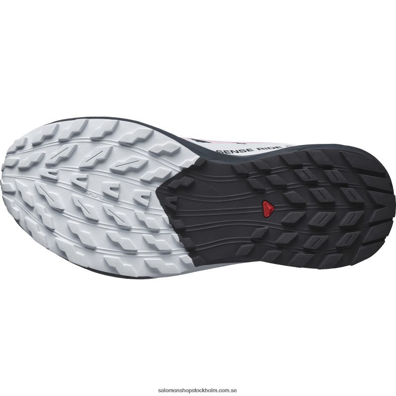Salomon india bläck/lila dospåse/arctic ice damlöparskor - sense ride 5 T82RP1495