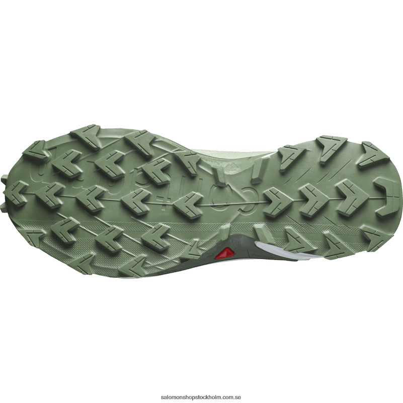 Salomon ökensalvia/vit/lagerkrans löparskor för kvinnor - alphacross 4 gore-tex T82RP1531
