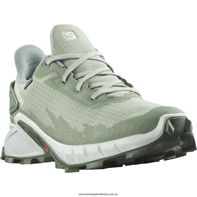 Salomon ökensalvia/vit/lagerkrans löparskor för kvinnor - alphacross 4 gore-tex T82RP1531