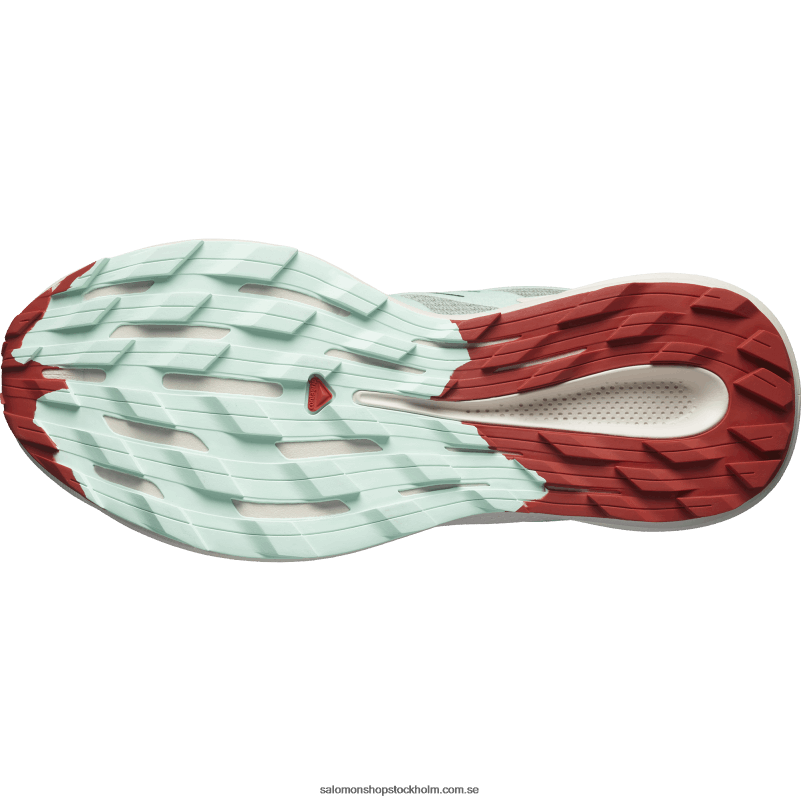 Salomon liljepad/blekt aqua/het sås damlöparskor för trail - pulsar trail T82RP1514