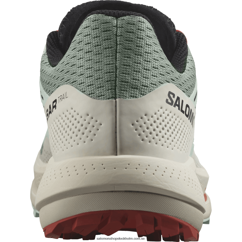 Salomon liljepad/blekt aqua/het sås damlöparskor för trail - pulsar trail T82RP1514