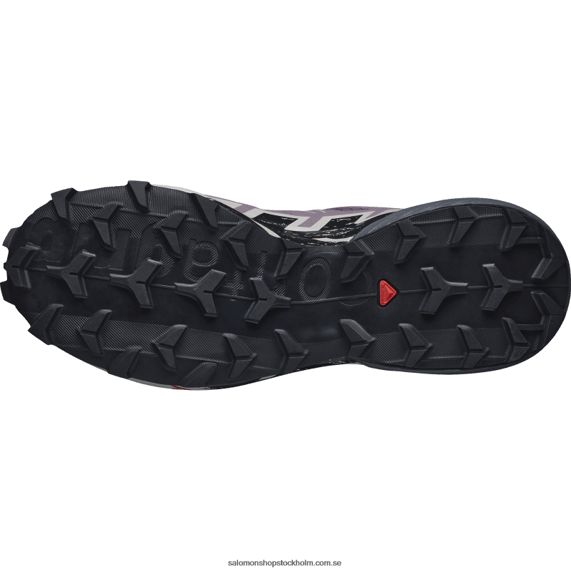 Salomon månlandskap/svart/aska av rosor terrängskor för dam - speedcross 6 T82RP1504