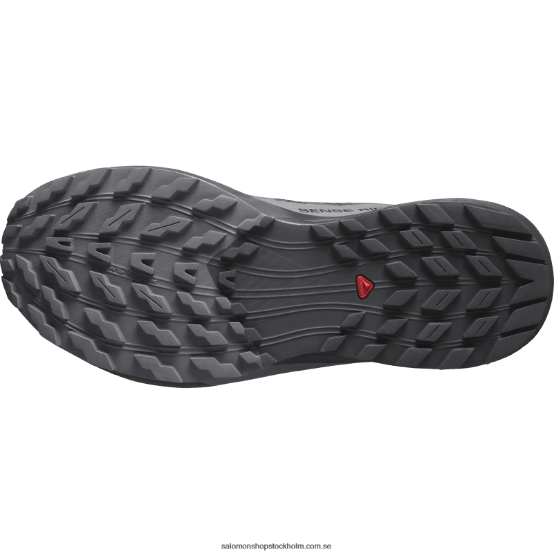 Salomon svart/magnet damlöparskor - sense ride 5 gore-tex T82RP1527