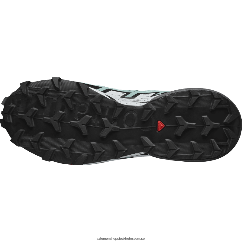 Salomon yucca/ebenholts/vit terrängskor för dam - speedcross 6 T82RP1505