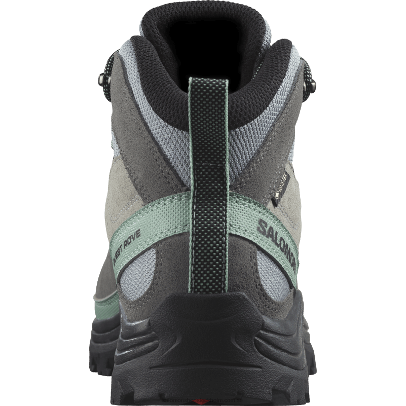 Salomon stenbrott/tyst nyans/svart vandringskängor i läder för kvinnor - quest rove gore-tex T82RP1143