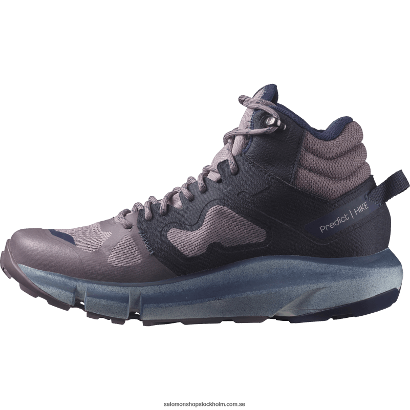 Salomon vaktel/natthimlen/astral aura vandringskängor för kvinnor - förutsäg vandring mitt i gore-tex T82RP1131