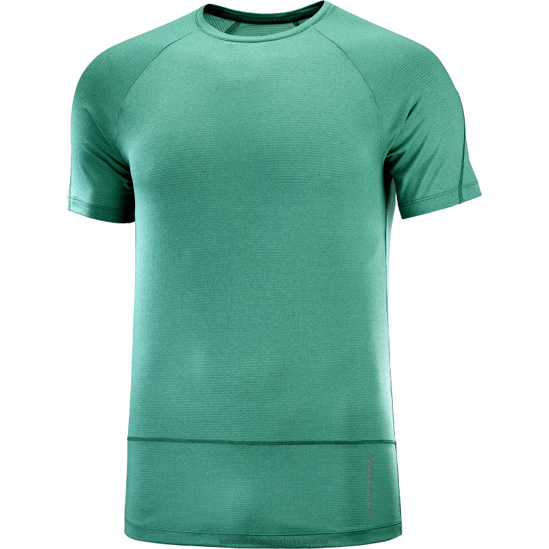 Salomon Stilla havet/ljung kortärmad herr t-shirt - cross run T82RP241