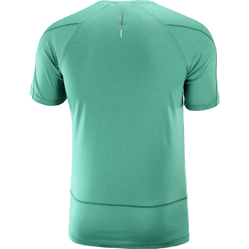 Salomon Stilla havet/ljung kortärmad herr t-shirt - cross run T82RP241