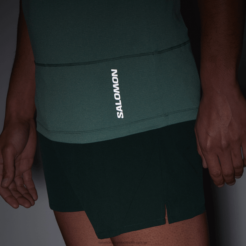 Salomon Stilla havet/ljung kortärmad herr t-shirt - cross run T82RP241