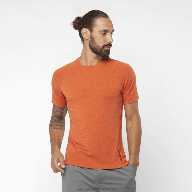 Salomon bränd ockra/ljung kortärmad t-shirt herr - runlife T82RP1199