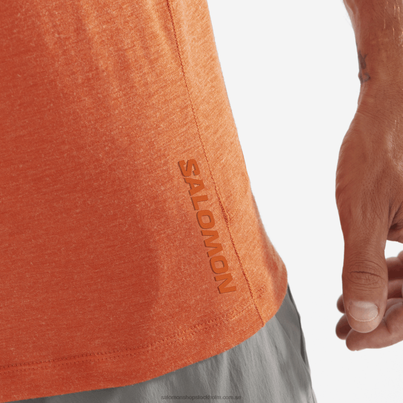 Salomon bränd ockra/ljung kortärmad t-shirt herr - runlife T82RP1199