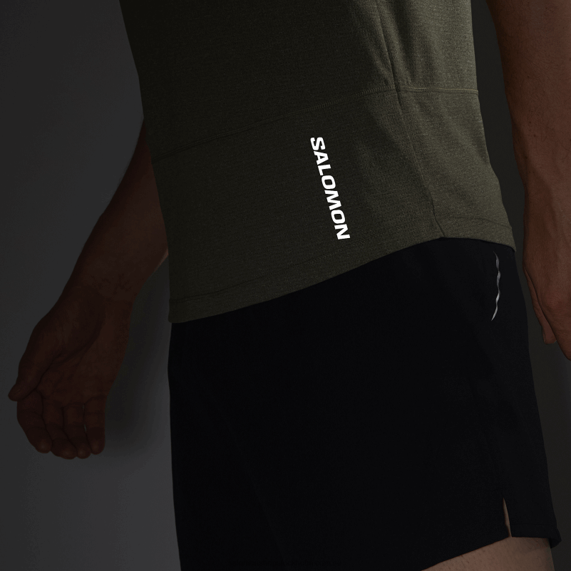 Salomon druvblad/ljung kortärmad herr t-shirt - cross run T82RP237