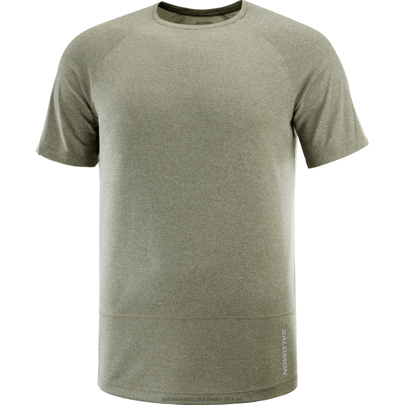 Salomon druvblad/ljung kortärmad herr t-shirt - cross run T82RP237