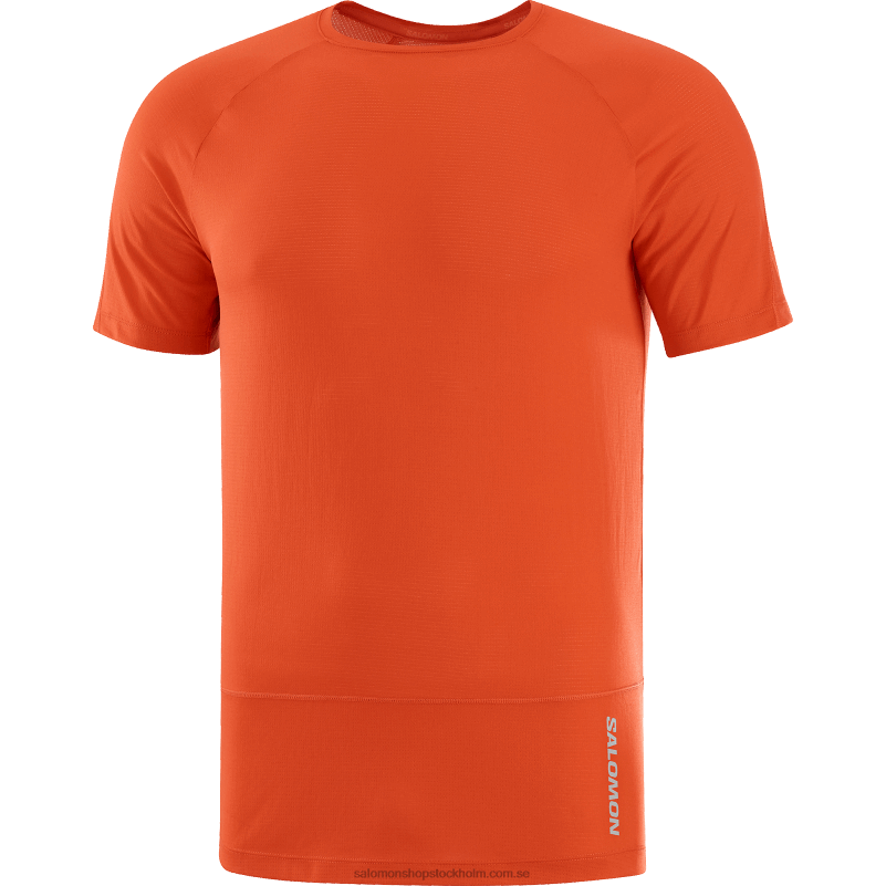 Salomon eldröd kortärmad herr t-shirt - cross run T82RP233
