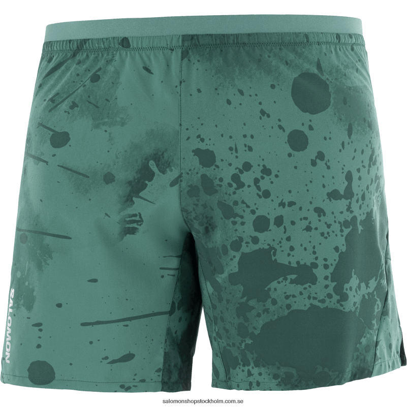 Salomon pacific/ao/ponderosa tall shorts för män - kors 7 T82RP296