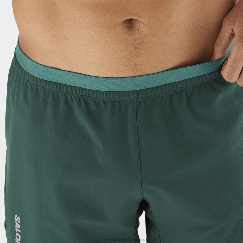 Salomon ponderosa tall shorts för män - kors 5 T82RP274