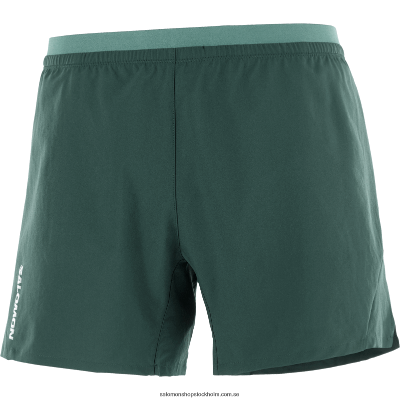 Salomon ponderosa tall shorts för män - kors 5 T82RP274