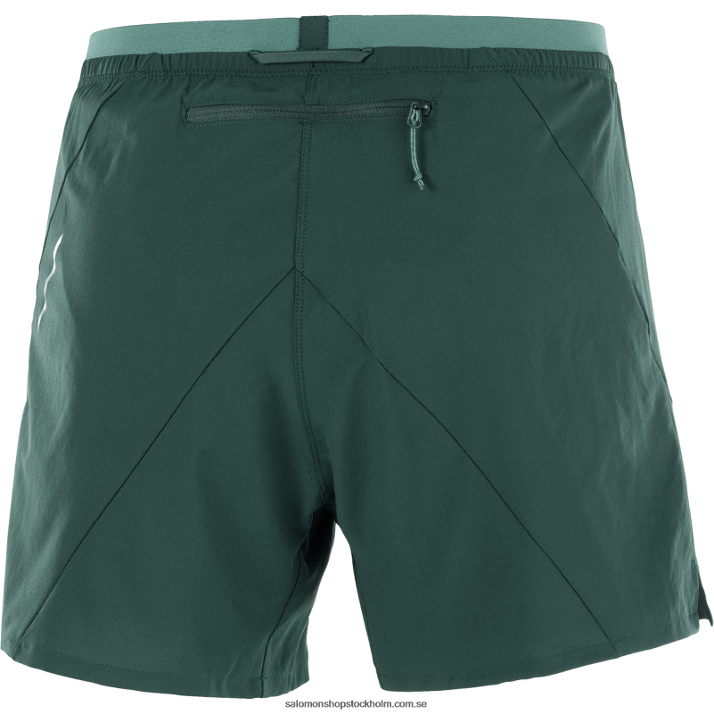 Salomon ponderosa tall shorts för män - kors 5 T82RP274