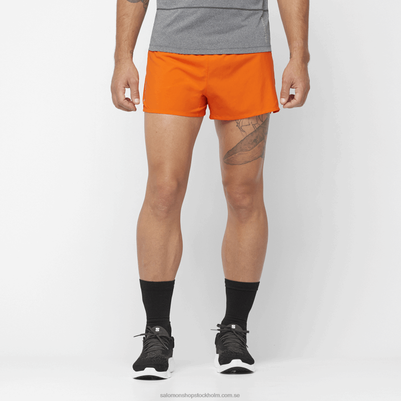Salomon scarlet ibis shorts för män - kors 3 T82RP268