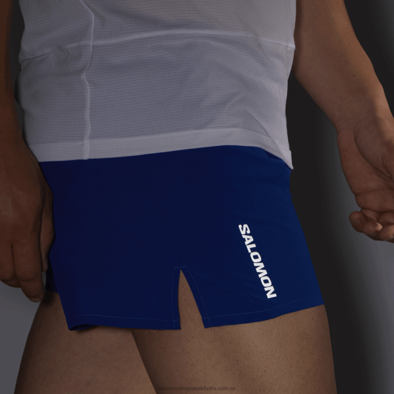Salomon surfa på nätet shorts för män - kors 3 T82RP269