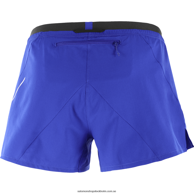Salomon surfa på nätet shorts för män - kors 3 T82RP269